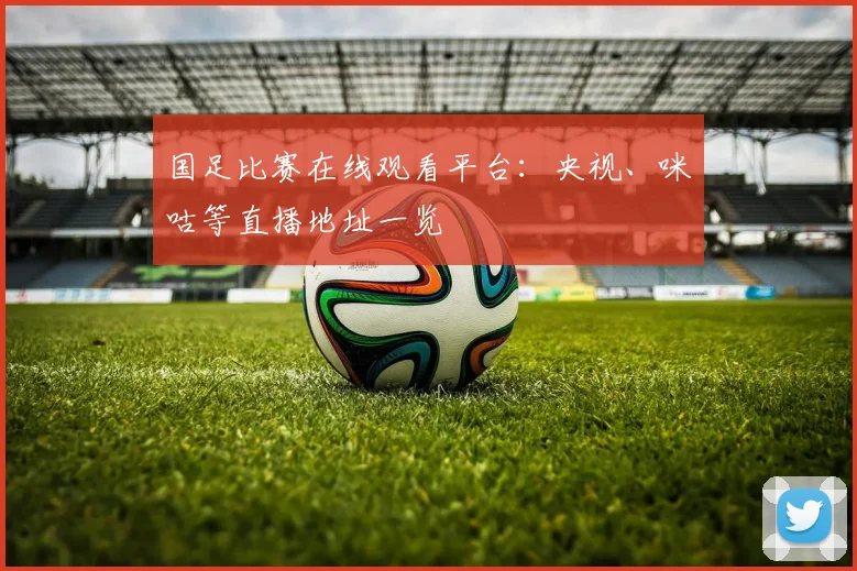 国足比赛在线观看平台：央视、咪咕等直播地址一览