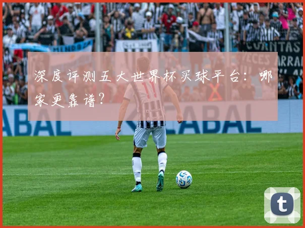 深度评测五大世界杯买球平台：哪家更靠谱？
