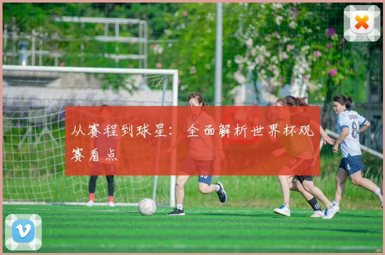 从赛程到球星：全面解析世界杯观赛看点