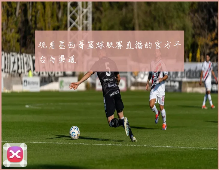 观看墨西哥篮球联赛直播的官方平台与渠道