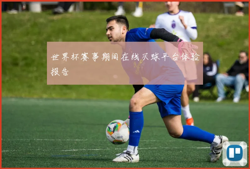 世界杯赛事期间在线买球平台体验报告