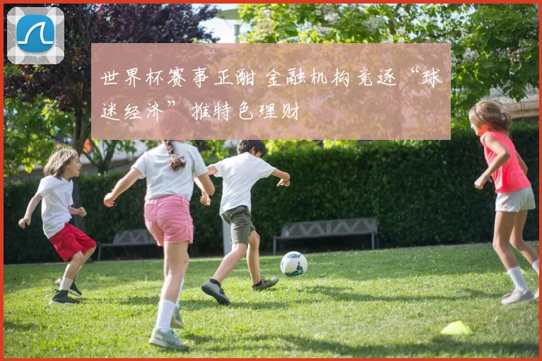 世界杯赛事正酣 金融机构竞逐“球迷经济”推特色理财